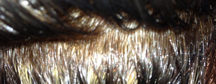 Home Hair Color Advice from a Professional