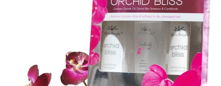 Favorite Hair Care Products Recommended by the Pro