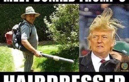 Donald-Trumps-hairdresser-445×445-444×372