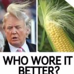 Toupee Or Not Toupee? That Is The Question