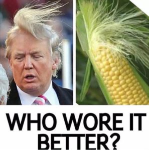Trump's Hair