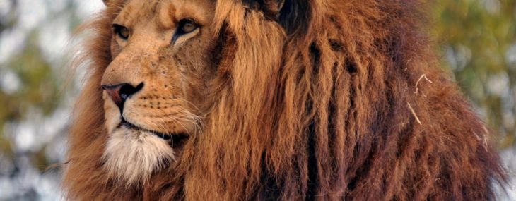 Hair Hygiene: The Dos & The Don’ts To Fragrant Hair
